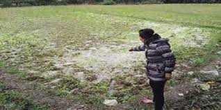 Mâu thuẫn cá nhân, em nuôi sát hại chị