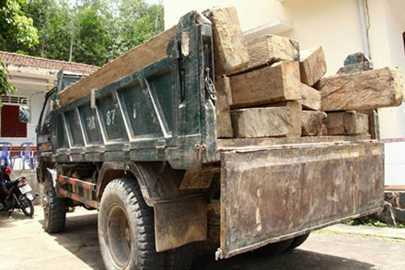 Đề nghị xử nghiêm lái xe chở gỗ đâm chết cán bộ kiểm lâm