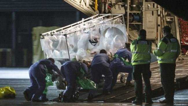 Năm 2014, Ebola giết hơn 7.900 người