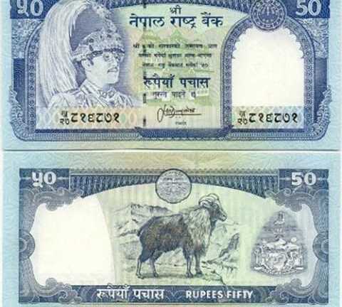 Tiền lạ in hình dê gây 'sốt' trước tết Ất Mùi