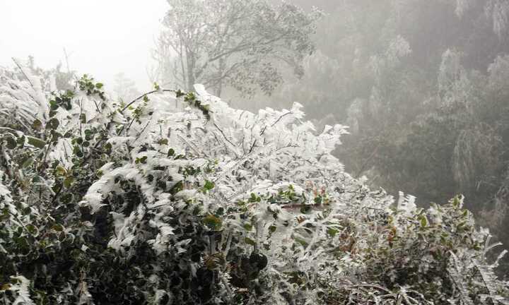 Không khí lạnh đang tràn về, đêm nay miền Bắc chuyển rét buốt