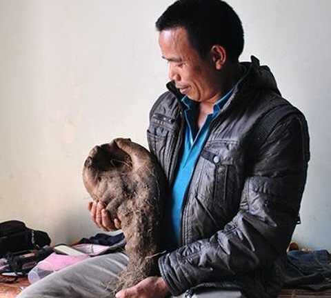 Hiếu kỳ xem củ khoai vạc hình 'bàn tay Phật'