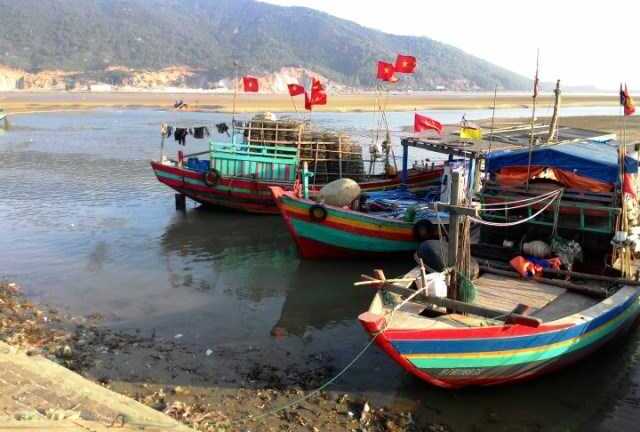 Xác minh loại ốc lạ khiến ba ngư dân tử vong sau khi ăn