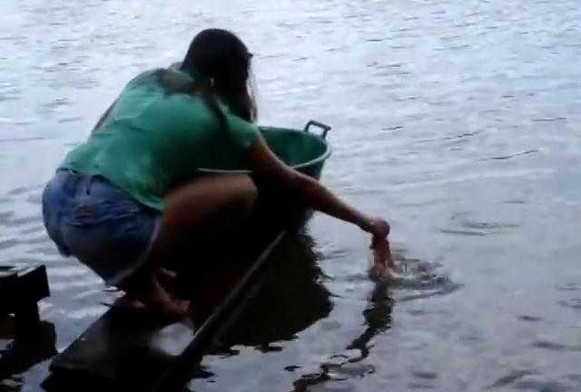 Ngỡ ngàng cảnh câu cá hổ như phim kinh dị