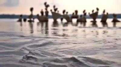 Xem clip này có thể bạn sẽ không còn tin vào mắt mình