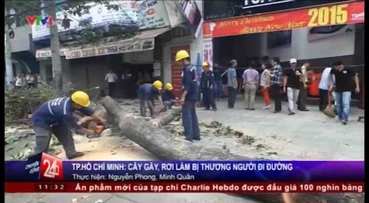 Clip: Cành cây gãy đổ, 2 người bị thương ở TP.HCM