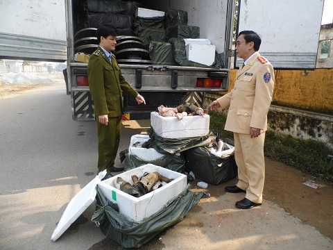 Bắt giữ 1,4 tấn chân trâu bò bốc mùi nồng nặc