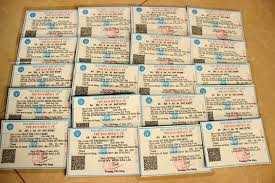Vụ 50.000 thẻ BHYT trùng ngày sinh: Xin lỗi học sinh, cấp lại thẻ