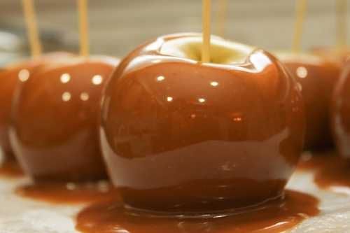 Chưa có người mắc bệnh liên quan đến táo Mỹ tươi