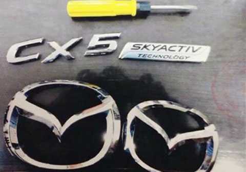 Anh em họ chuyên trộm logo ôtô