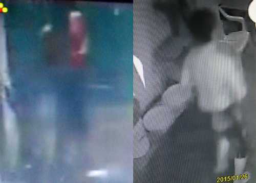 Nghệ sỹ cải lương Đỗ Linh bị giết hại: Ráo riết truy bắt hung thủ