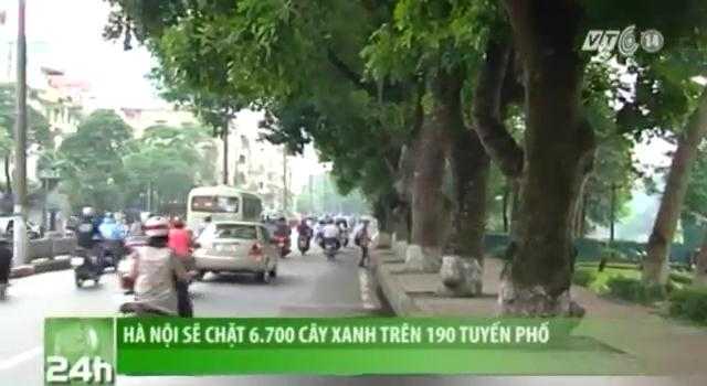 Hà Nội sắp chặt 6700 cây xanh trên 190 tuyến phố