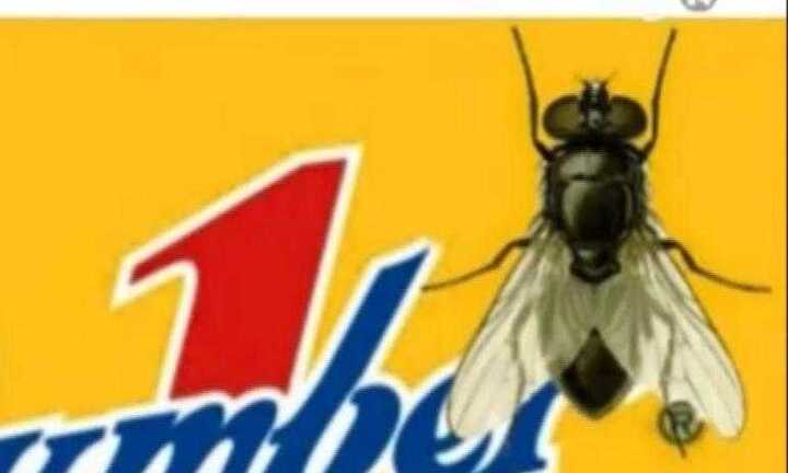 Cộng đồng mạng kêu gọi tẩy chay nhãn hiệu nước ngọt bị tố có ruồi