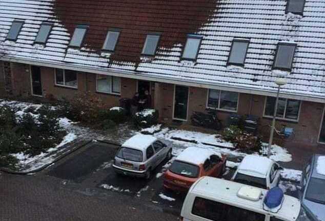 Tuyệt chiêu phát hiện cần sa của cảnh sát Hà Lan