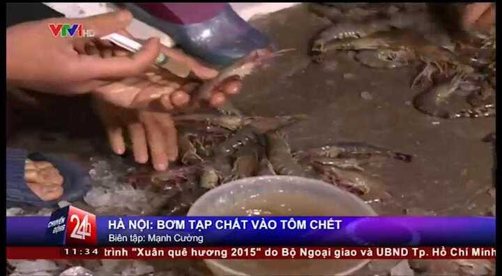 Clip: Cận cảnh bơm tạp chất biến tôm ươn thành tôm tươi