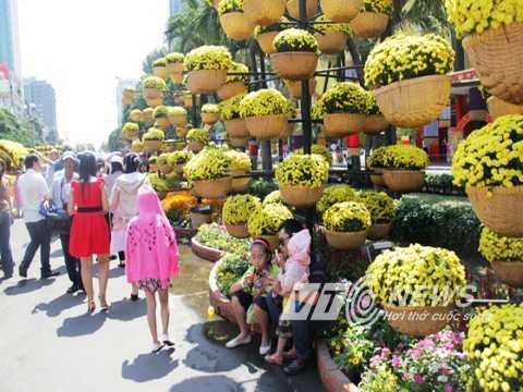 Chơi cây cảnh năm Ất Mùi thế nào cho may mắn?