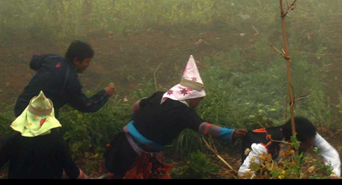 Kỳ thú phong tục cả bản đi ăn trộm đêm giao thừa