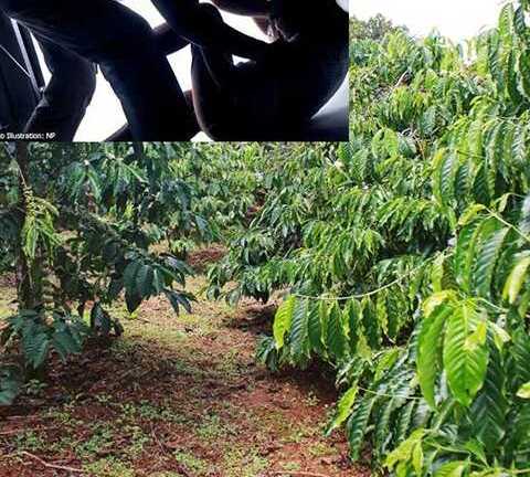 Hung thủ cưỡng hiếp, giết người sa lưới