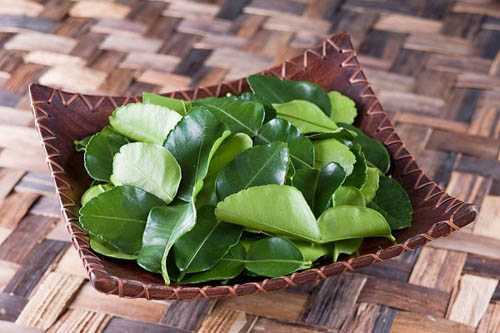 Công dụng thần kì của lá bưởi