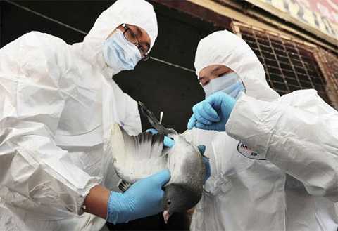 Báo động người đầu tiên nhiễm cúm A (H9N2) trên thế giới