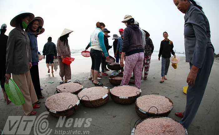 Ngư dân Đà Nẵng trúng đậm 'lộc biển' đầu năm