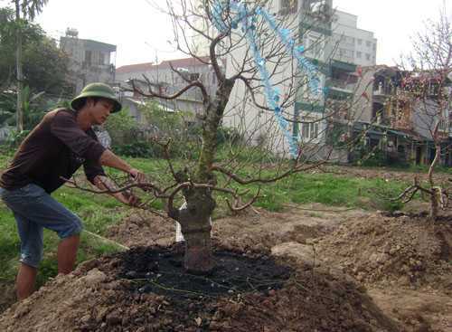 Những dịch vụ dễ kiếm tiền sau Tết