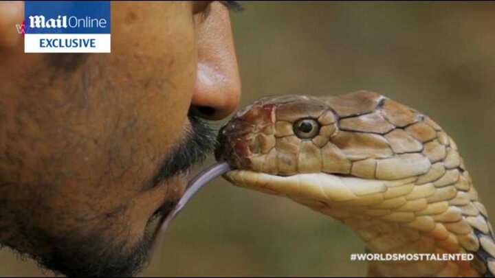 Đứng tim xem con trai 'Vua rắn' hôn rắn hổ mang cực độc