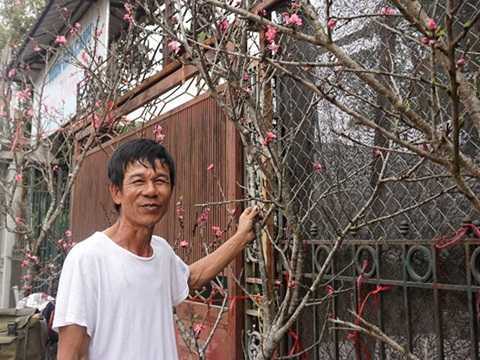 1 triệu đồng một cành đào rừng sau Tết