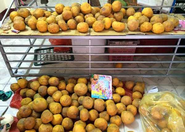 Đầu cơ đặc sản Tết: Ôm lấy nợ nần, trắng tay