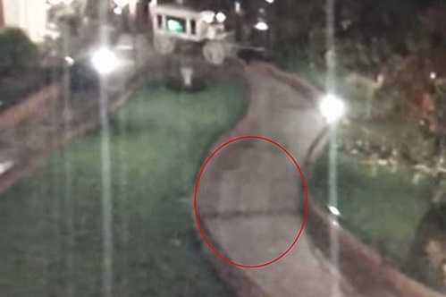 Thực hư chuyện 'bóng ma' Walt Disney dạo chơi ở công viên