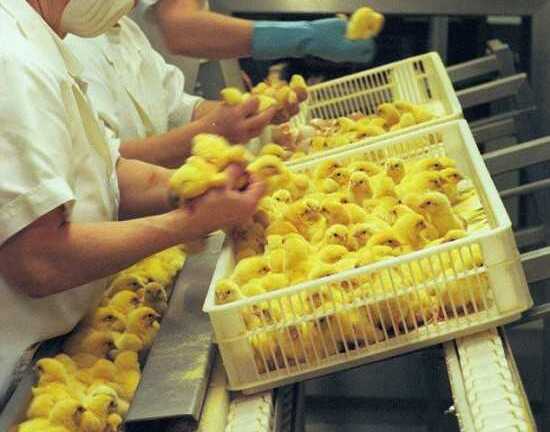 Công việc lương hơn 1 tỷ đồng/năm nhưng ít ai muốn làm