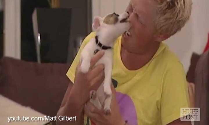 Chết cười những pha chó tấn công người