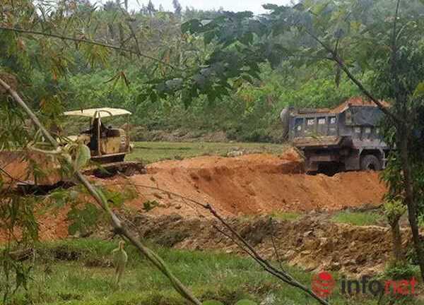 Thực hư việc nguyên Chủ tịch Đà Nẵng cấp phép 'cải tạo đất' trước về hưu?