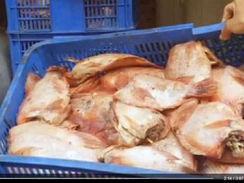 Vụ chở thịt thối cho trẻ ăn: Cục trưởng An toàn thực phẩm không tin nổi