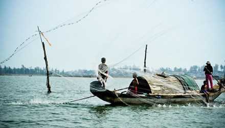 Phát hiện rùa biển quý hiếm lạc vào phá Tam Giang