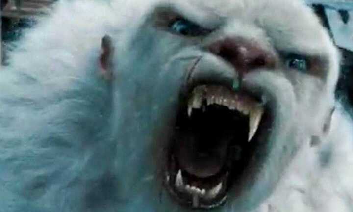 Giải mã bí ẩn quái vật người tuyết 'Yeti' Himalaya