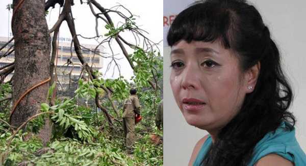 NSƯT Chiều Xuân: Tôi gào khóc như 'mụ điên' bảo vệ cây xanh