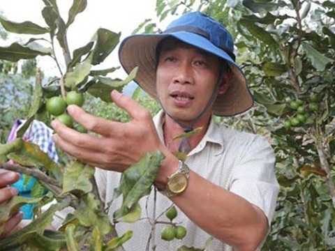 Chuyện ông bí thư hai lần bị kiểm điểm vì mắc-ca