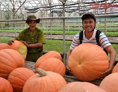 Cận cảnh trái cây 'khủng' ở Việt Nam