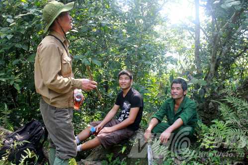 Tuyên Quang: Hổ dữ trả thù tàn khốc khiến 30 con dê mất mạng
