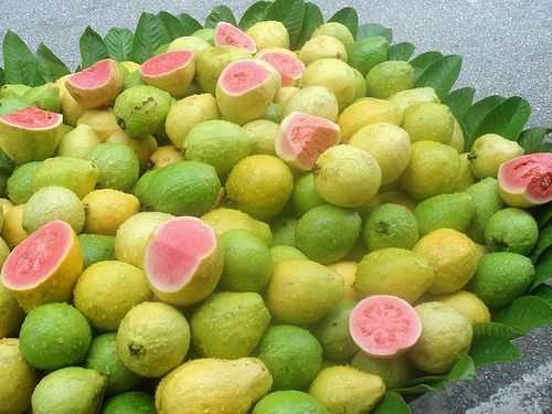 Mẹo chọn ổi quả nào cũng thơm ngon, đẹp mắt