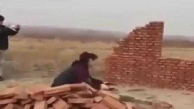 Kỹ năng xây nhà đỉnh cao không dạy trong sách vở