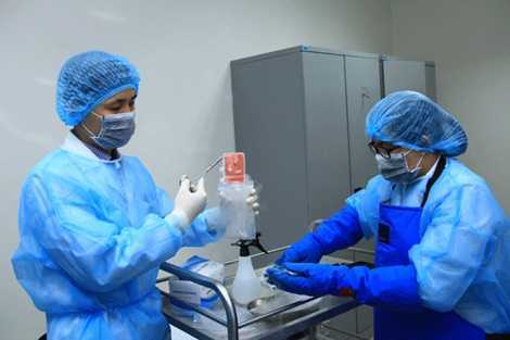 Ghép tế bào gốc từ dây rốn người không cùng huyết thống