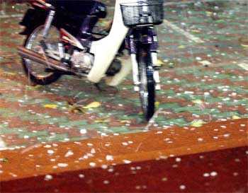 Clip: Mưa đá kèm gió lốc 'quần thảo' Đà Lạt