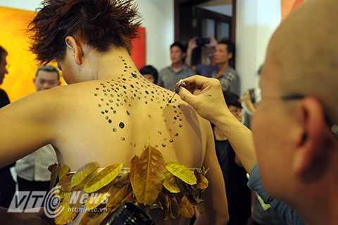 'Cây phục sinh': Triển lãm độc đáo về bảo vệ cây