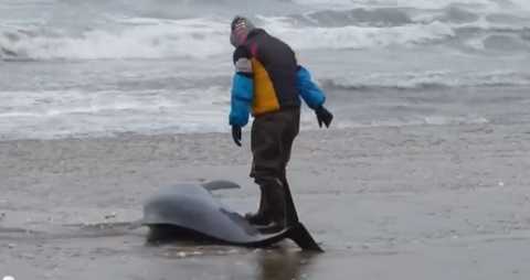 Nhật Bản sắp xảy ra trận đại hồng thuỷ?