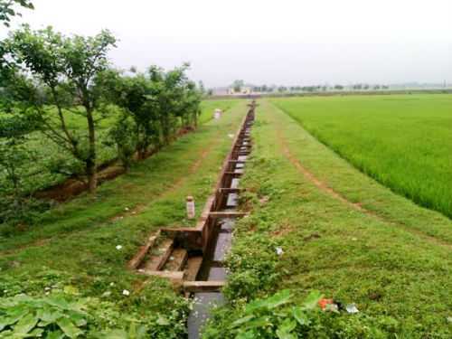 Để có kênh thủy lợi, nông dân phải nộp tiền cho hợp tác xã ‘tiếp khách’