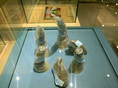 Khám phá bảo tàng có sừng tê giác, ma túy, thuốc kích dục tại Hà Nội