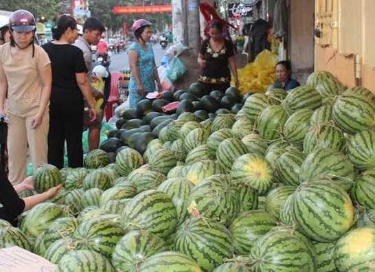 Cảnh báo thảm cảnh lặp đi lặp lại với nông dân Việt