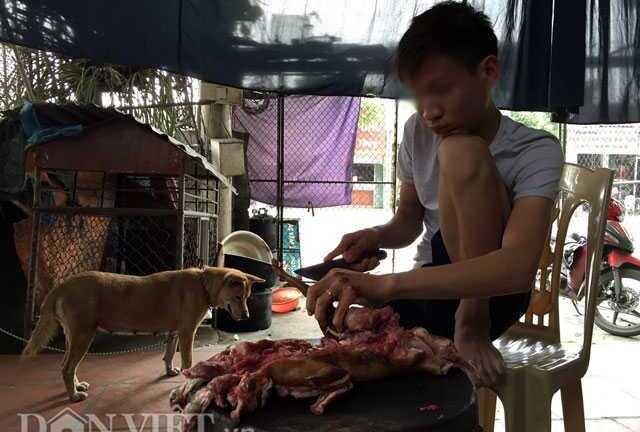 Lạnh người chứng kiến mèo bị dìm chết, xẻ thịt ở Thái Bình